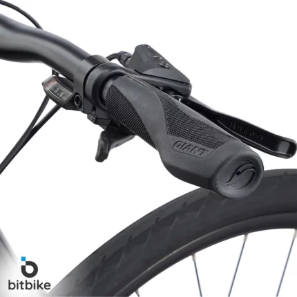 دوچرخه شهری جاینت مدل (2022) Escape 2 Disc