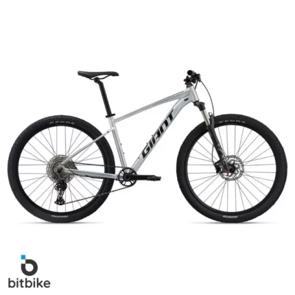 دوچرخه کوهستان جاینت تالون0 Giant Talon 29 0(2024)