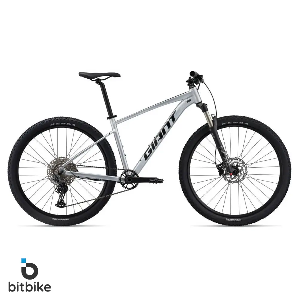 دوچرخه کوهستان جاینت تالون0 Giant Talon 29 0(2024)