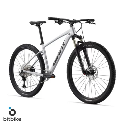 دوچرخه کوهستان جاینت تالون0 Giant Talon 29 0(2024)