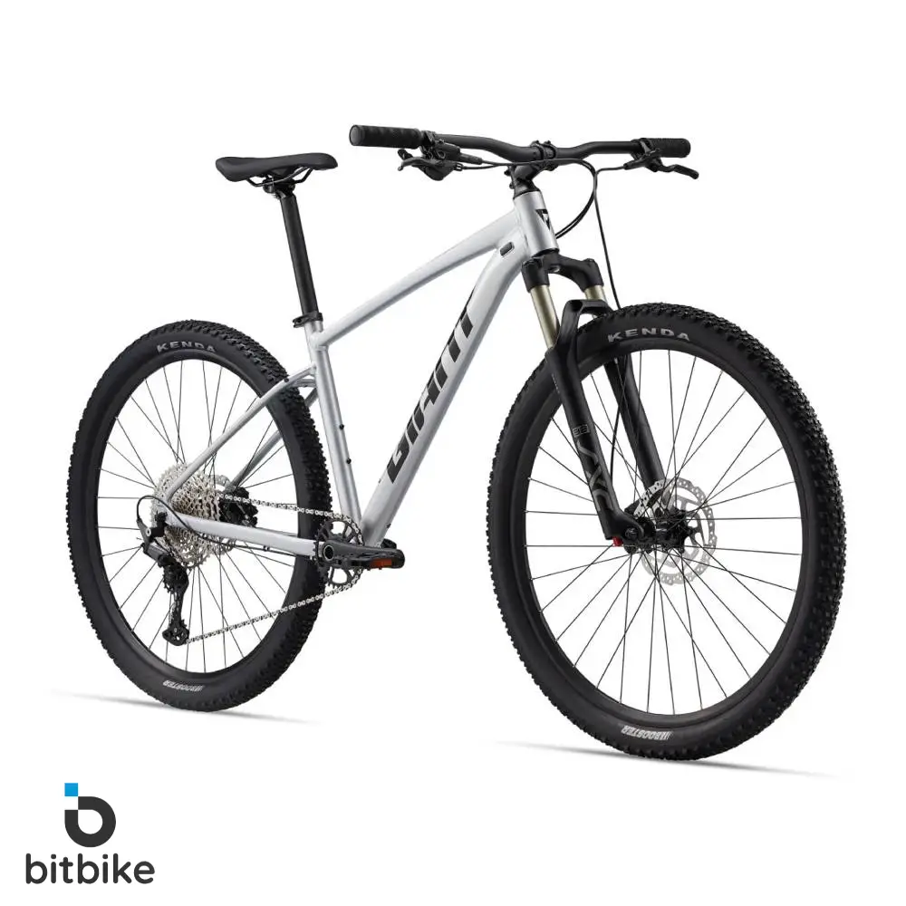 دوچرخه کوهستان جاینت تالون0 Giant Talon 29 0(2024)