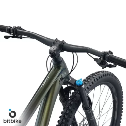دوچرخه کوهستانی جاینت مدل ترنس 1 Trance 29 1 2023 phantom green