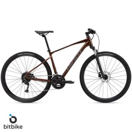 دوچرخه دومنظوره جاینت مدل روآم 2 (2022) Giant Roam 2 Disc